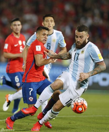 阿根廷对智利的比赛